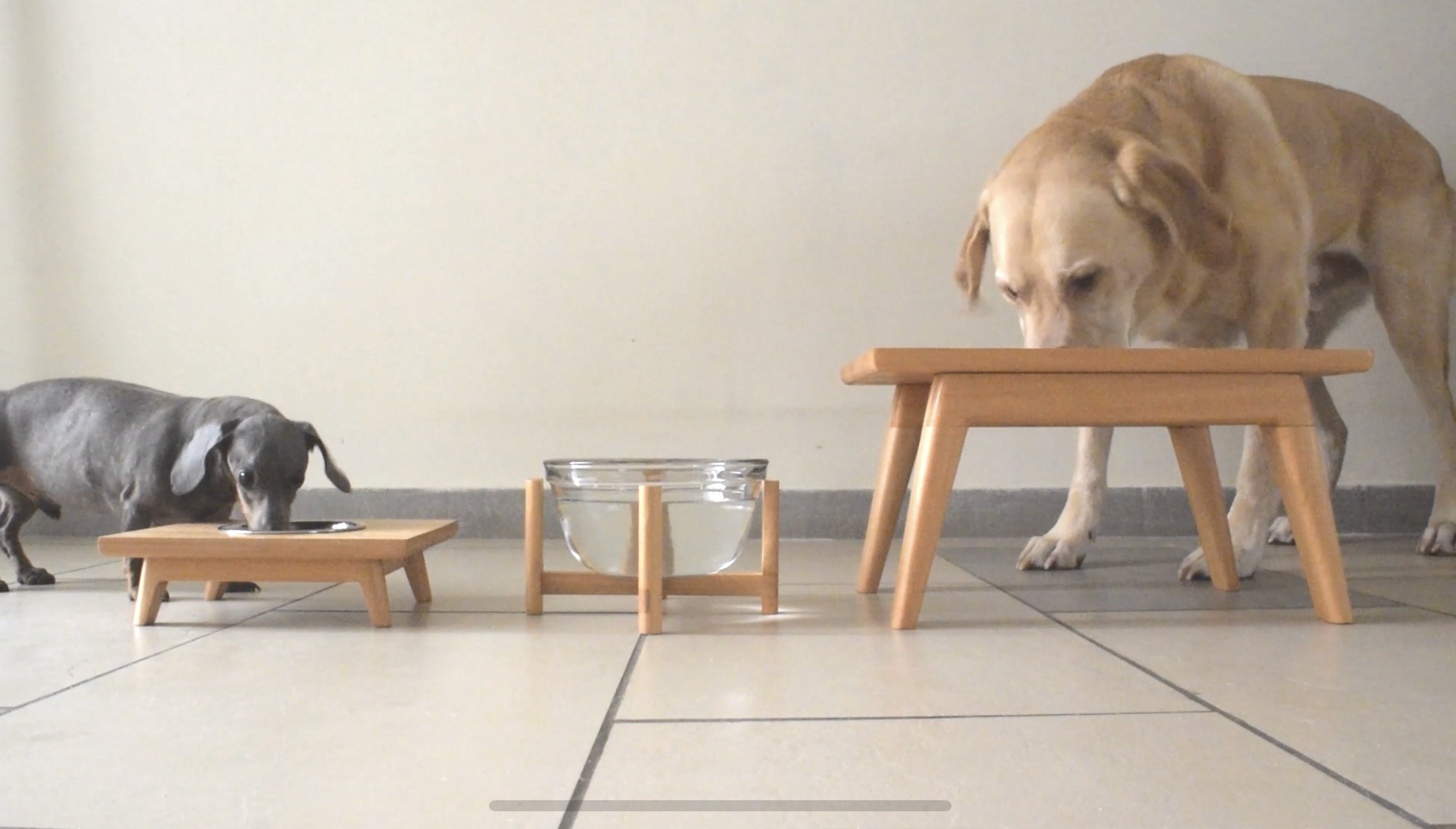 DIY Mid Century Dog Food Bowls